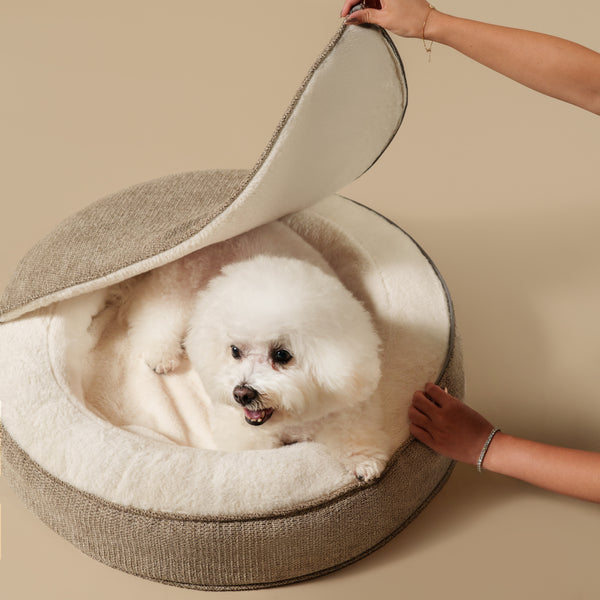 ZNOOZ Macaron Bed for Small Dogs