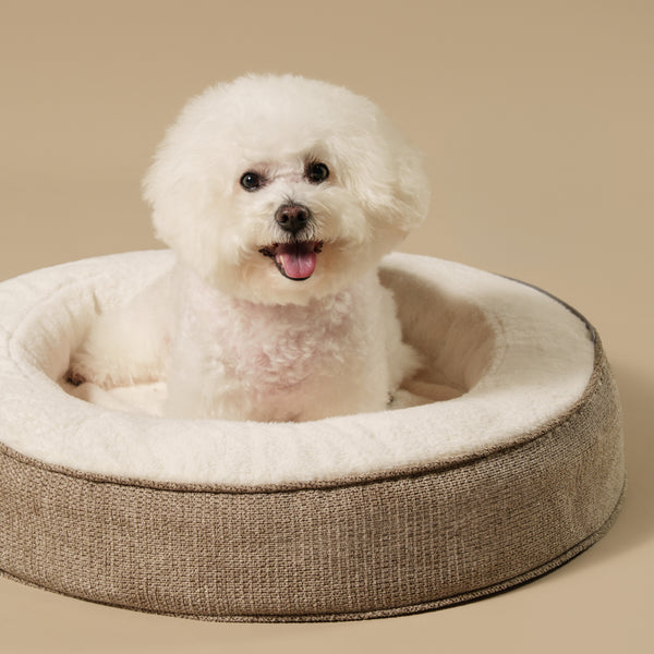 ZNOOZ Macaron Bed for Small Dogs