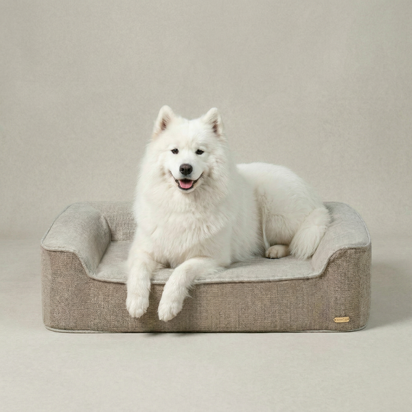International Dog Day Bundle: Dog bed with extra cover