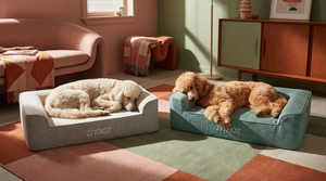 ZNOOZ Orthopedic Dog Bed