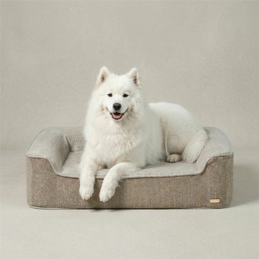 ZNOOZ Orthopedic Bed