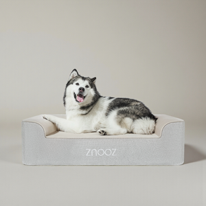 ZNOOZ Orthopedic Dog Bed