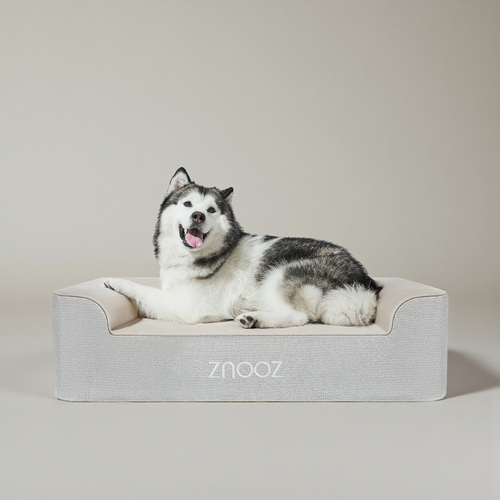 ZNOOZ Orthopedic Dog Bed