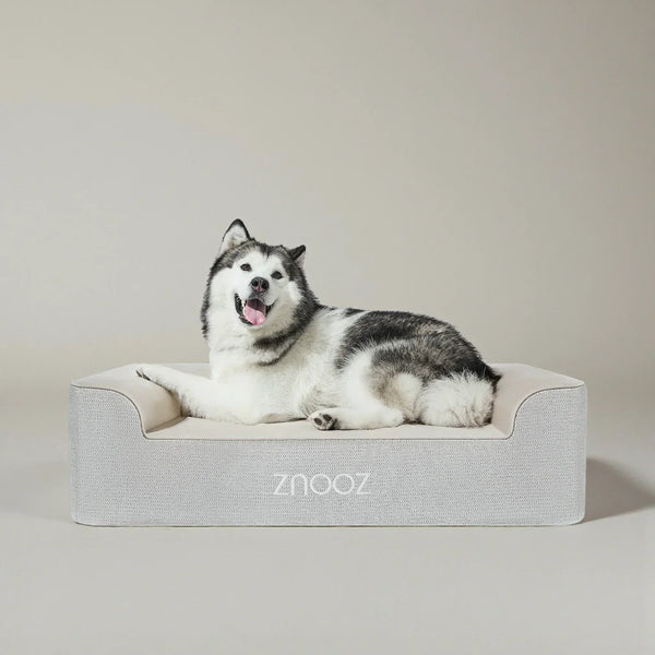 ZNOOZ Orthopedic Dog Bed