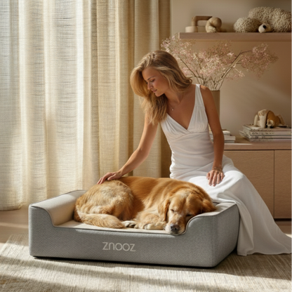 ZNOOZ Orthopedic Dog Bed