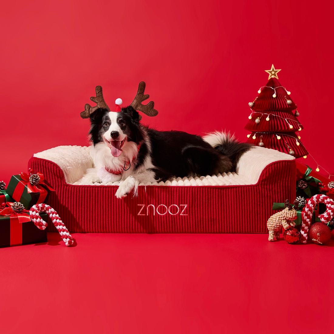 ZNOOZ Dog Bed Cover - RED FUZZY