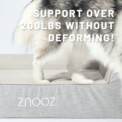 ZNOOZ Orthopedic Dog Bed