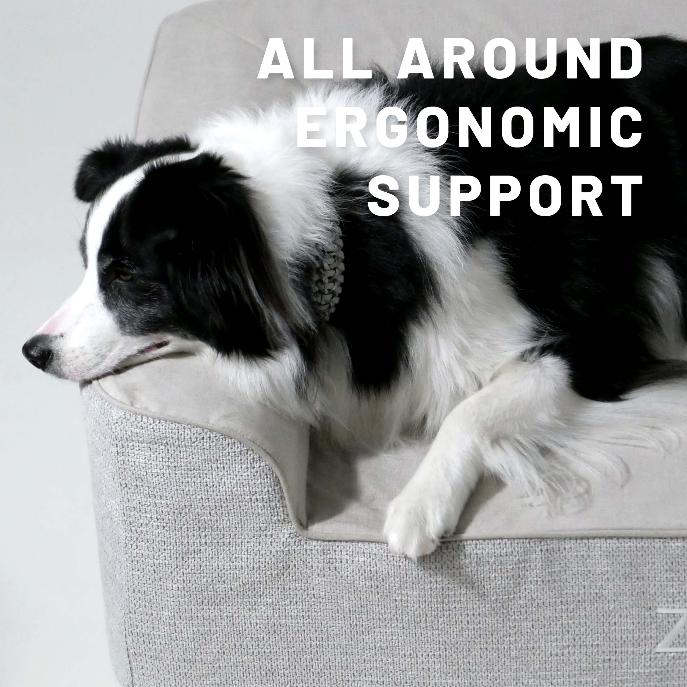 ZNOOZ Orthopedic Dog Bed