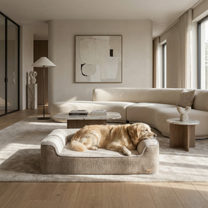 International Dog Day Bundle: Dog bed with extra cover