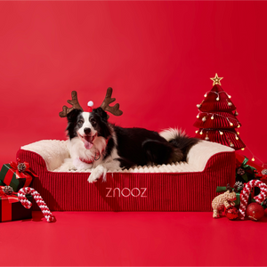 ZNOOZ Orthopedic Dog Bed Bundle- Special Edition