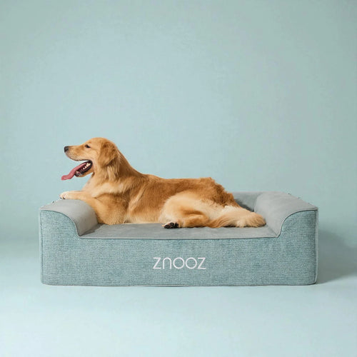 ZNOOZ Orthopedic Dog Bed