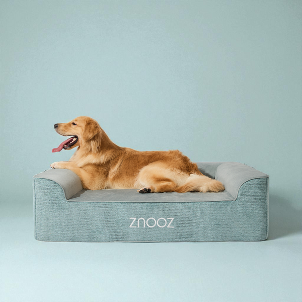 ZNOOZ Orthopedic Dog Bed