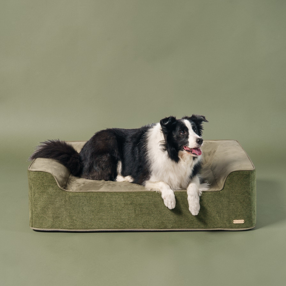 ZNOOZ Orthopedic Bed