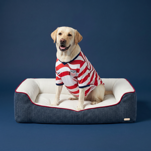 ZNOOZ Bed Team USA Edition