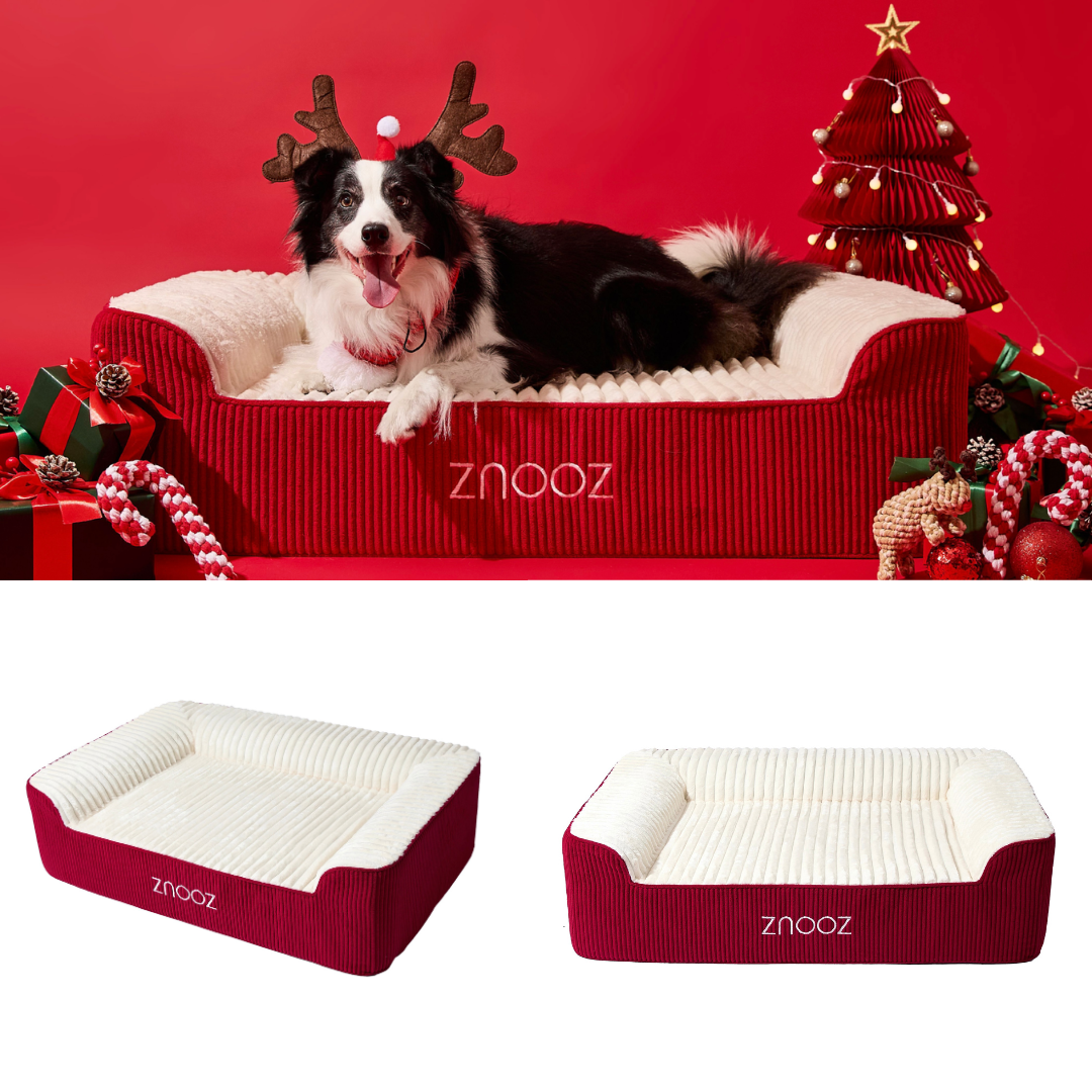 ZNOOZ Orthopedic Dog Bed - Special Edition