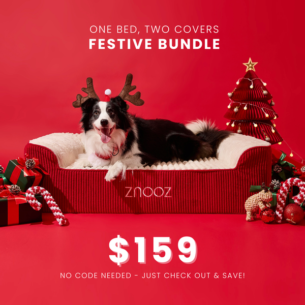 ZNOOZ Orthopedic Dog Bed Bundle- Special Edition