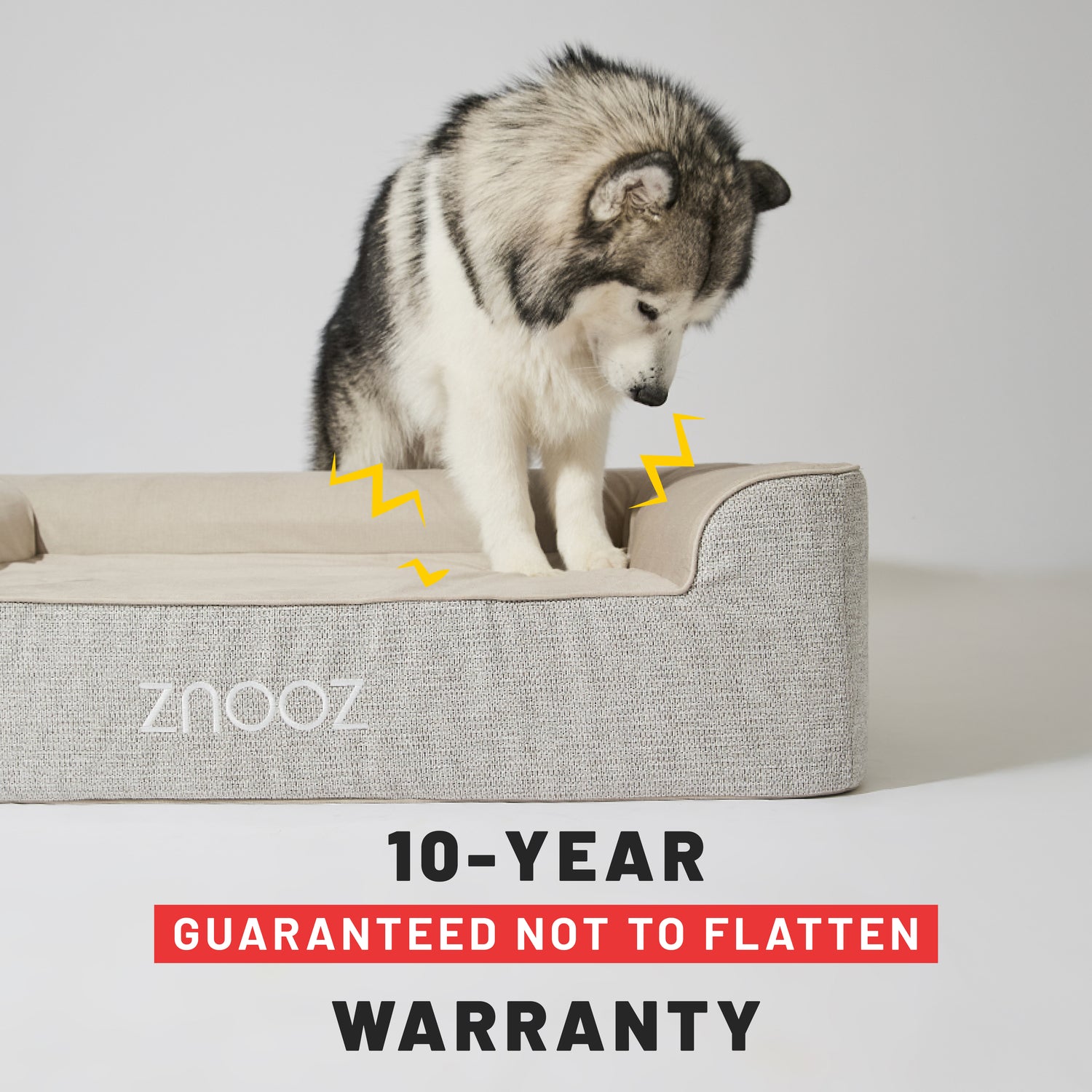 ZNOOZ Orthopedic Dog Bed