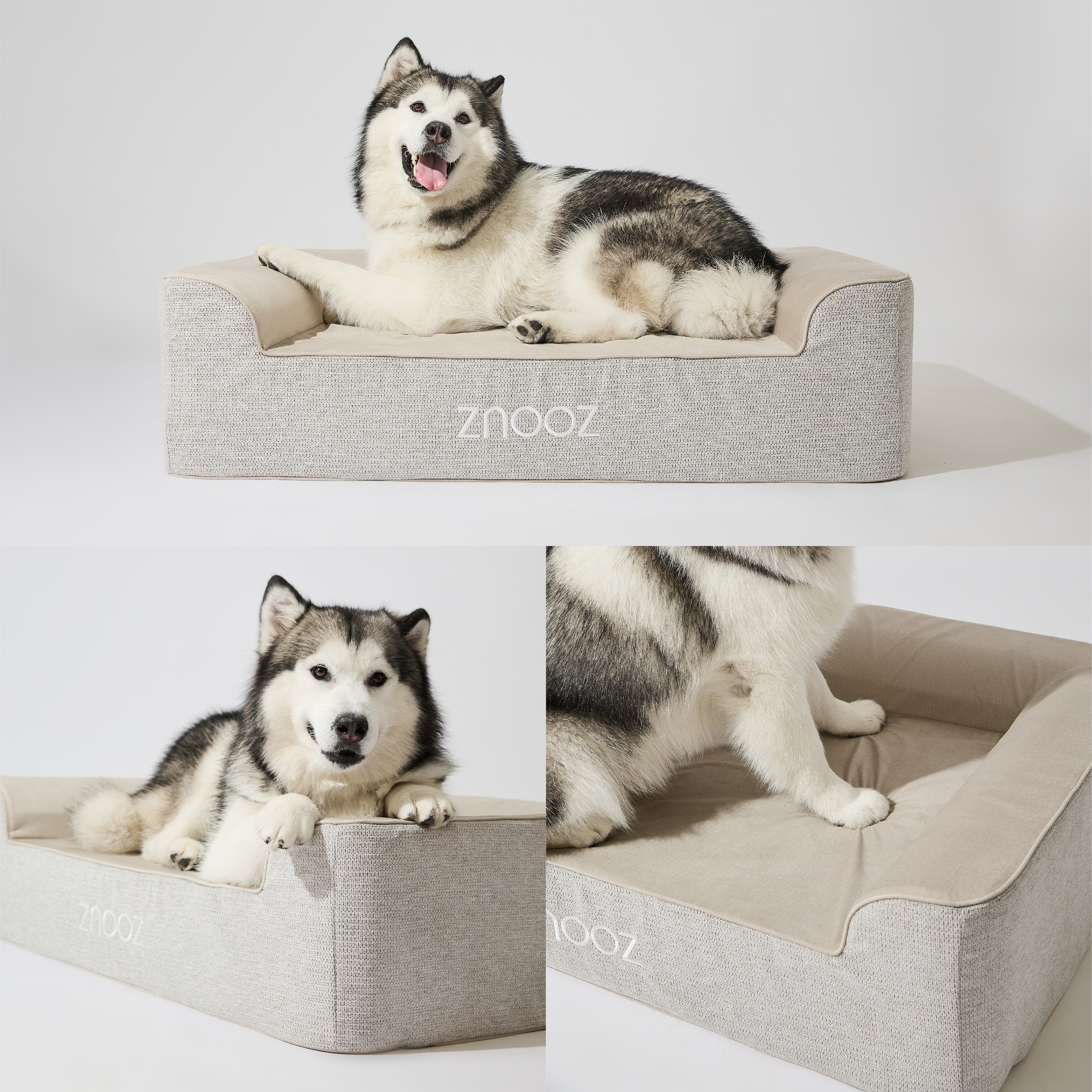 ZNOOZ Orthopedic Dog Bed - Special Edition