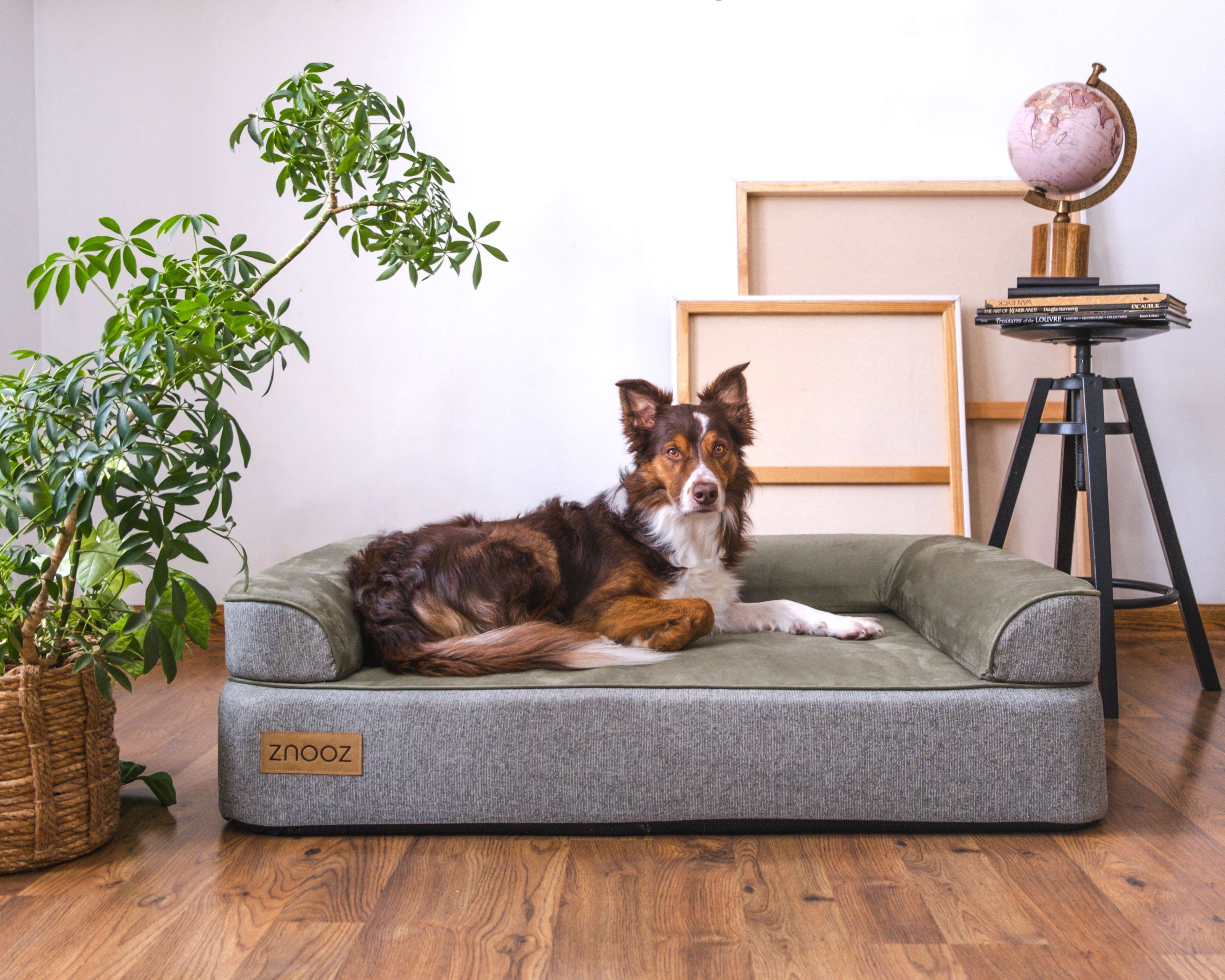 ZNOOZ MagZnap™ Dog Bed