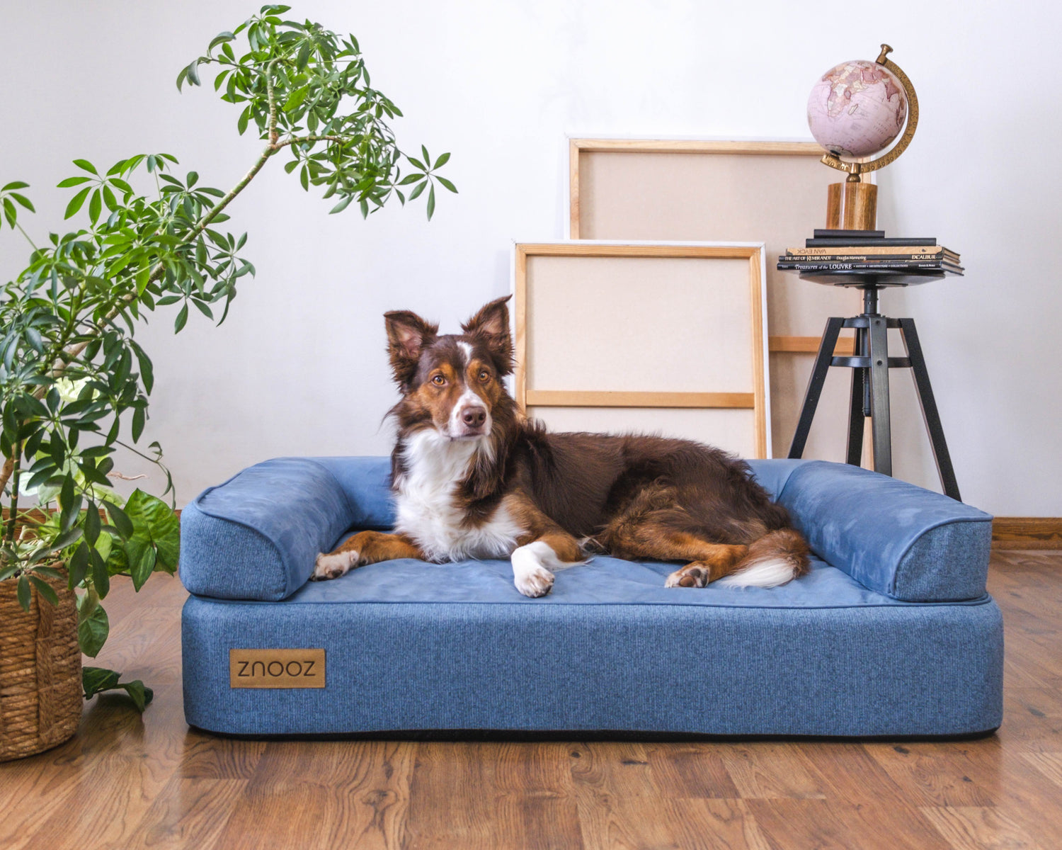 ZNOOZ MagZnap™ Dog Bed