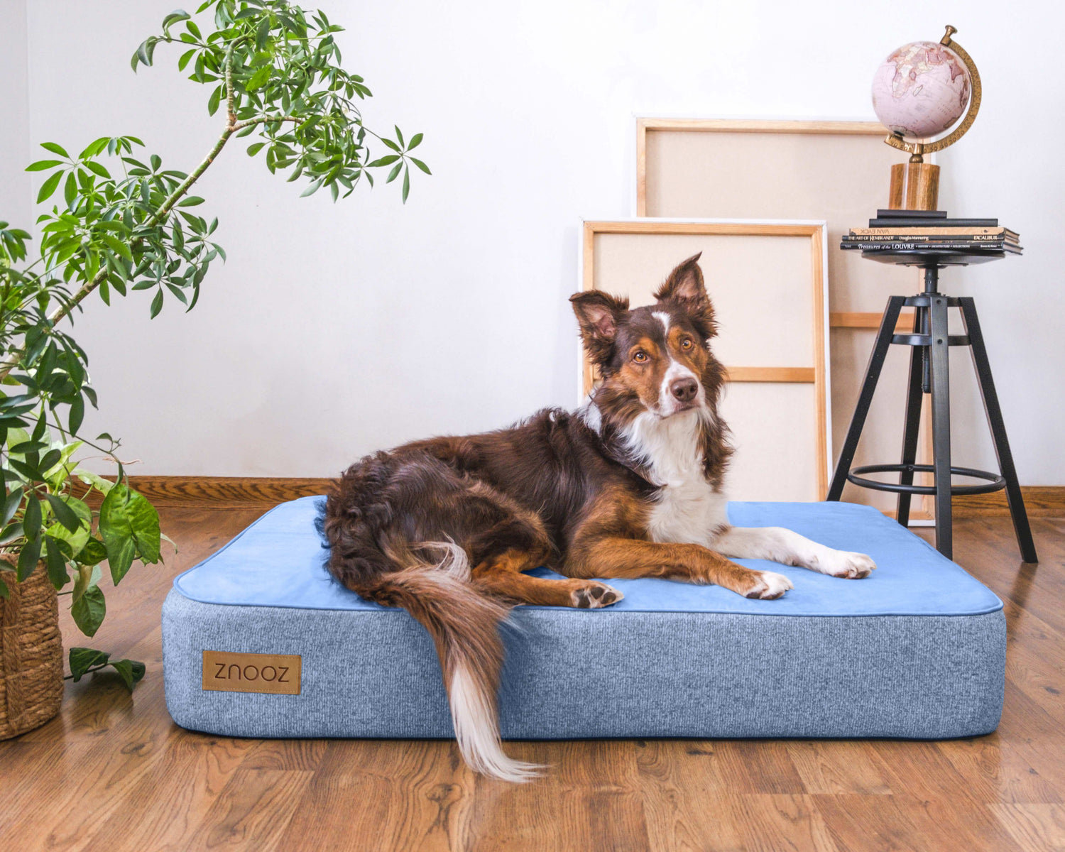 ZNOOZ MagZnap™ Dog Bed