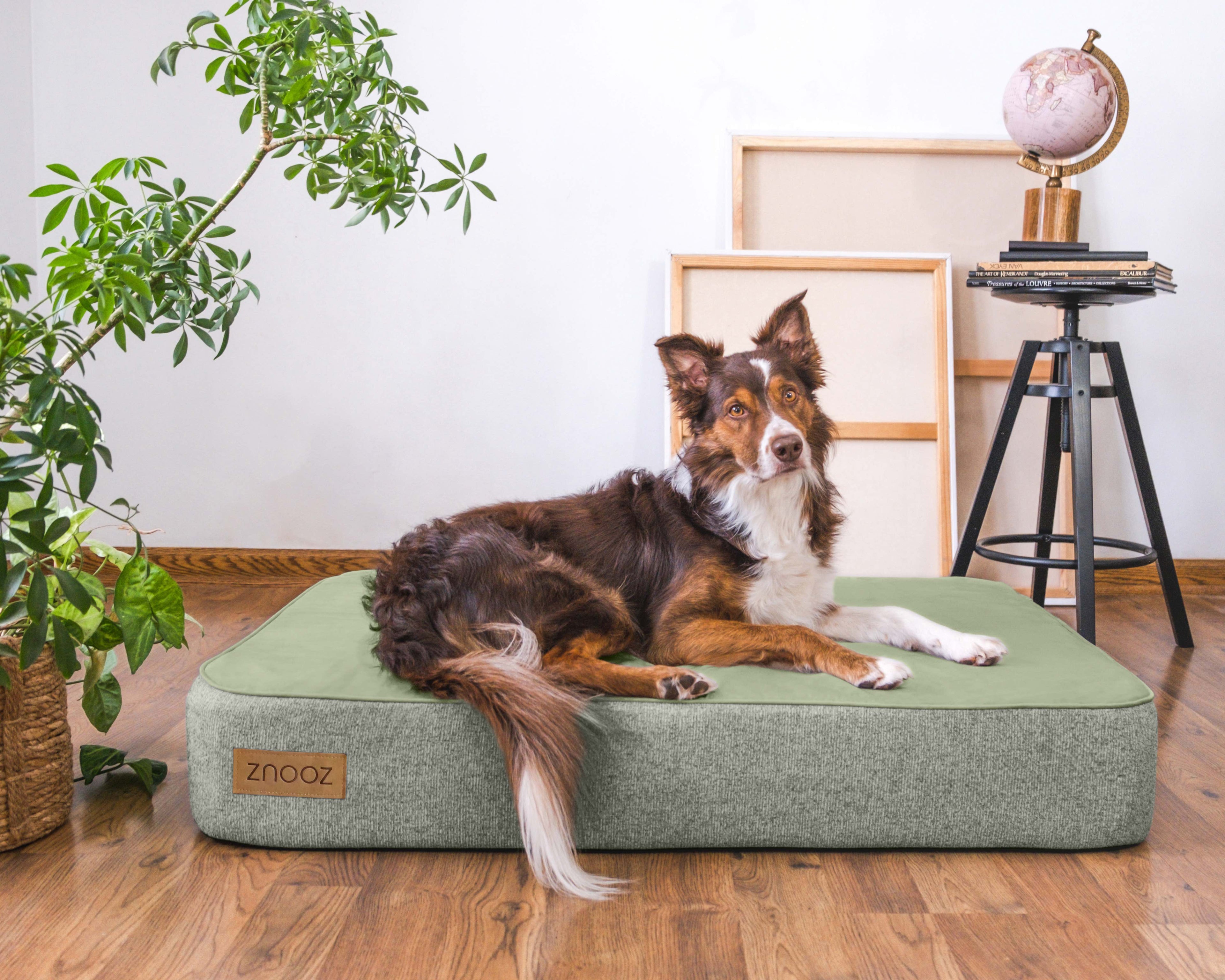 ZNOOZ Orthopedic Dog Bed