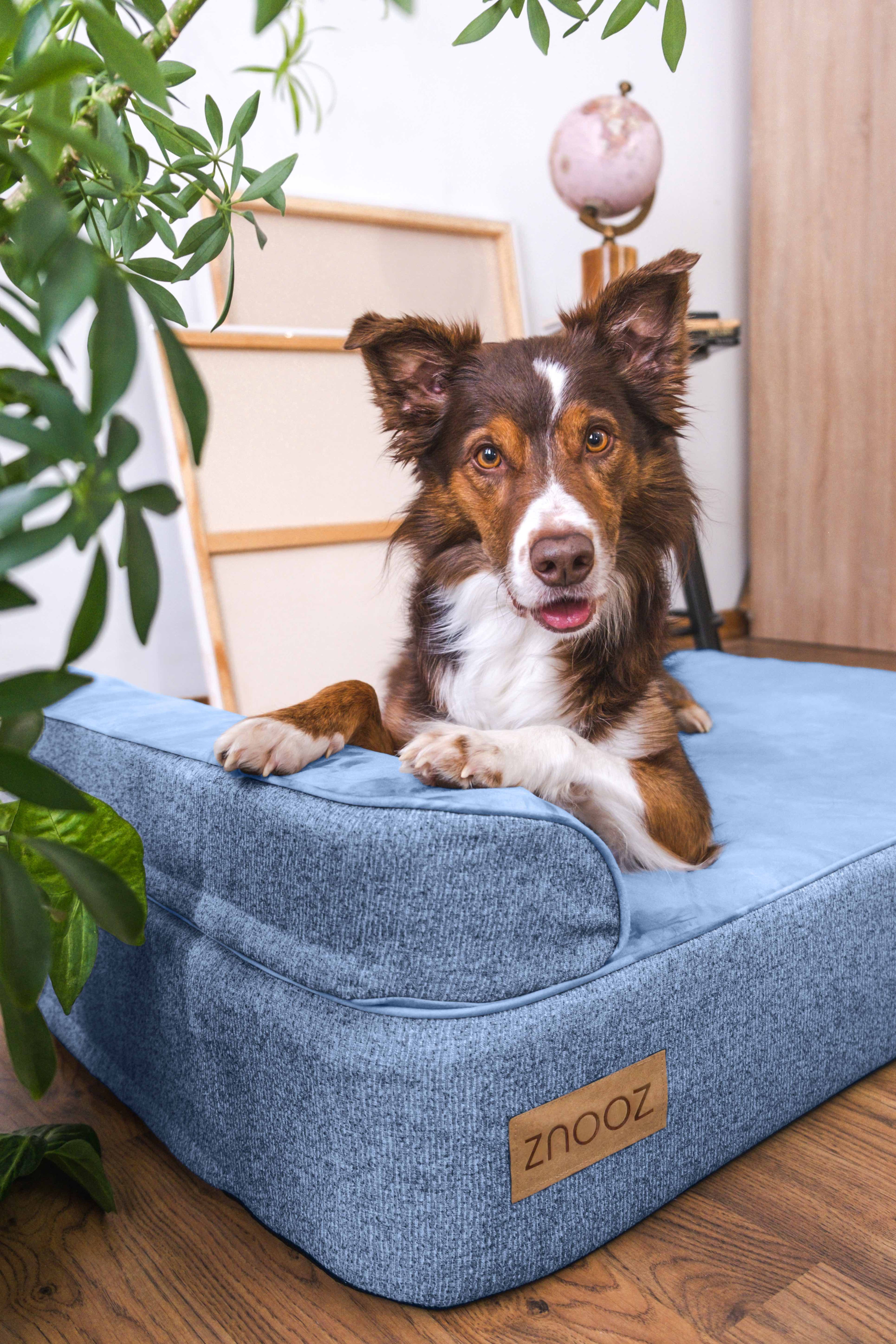 ZNOOZ Orthopedic Dog Bed