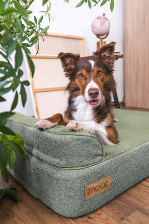 ZNOOZ MagZnap™ Dog Bed
