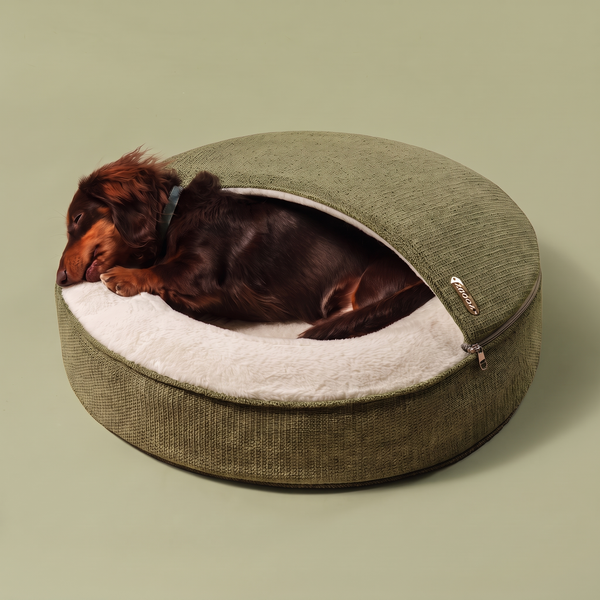 ZNOOZ Macaron Bed for Small Dogs