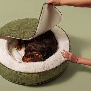 ZNOOZ Macaron Bed for Small Dogs