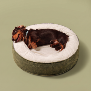 ZNOOZ Macaron Bed for Small Dogs