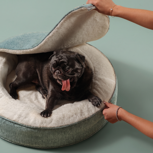 ZNOOZ Macaron Bed for Small Dogs