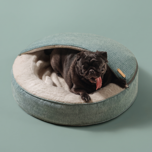ZNOOZ Macaron Bed for Small Dogs