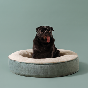 ZNOOZ Macaron Bed for Small Dogs