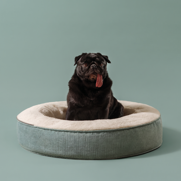 ZNOOZ Macaron Bed for Small Dogs