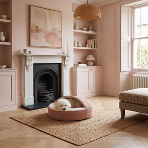 ZNOOZ Macaron Bed for Small Dogs