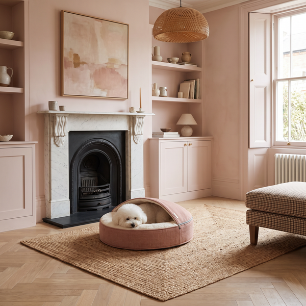 ZNOOZ Macaron Bed for Small Dogs