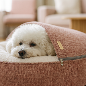 ZNOOZ Macaron Bed for Small Dogs