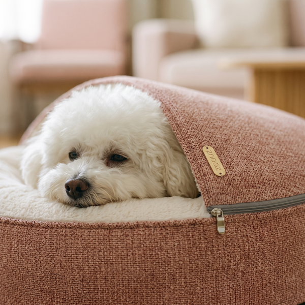 ZNOOZ Macaron Bed for Small Dogs