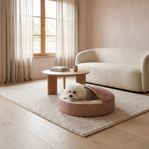 ZNOOZ Macaron Bed for Small Dogs