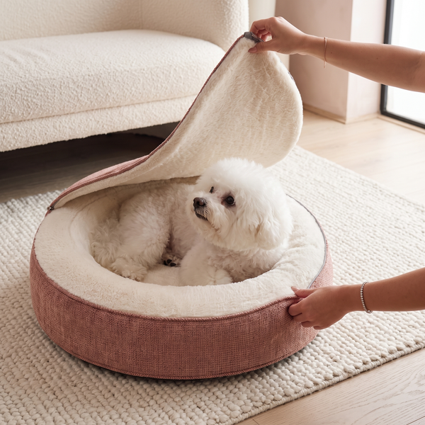 ZNOOZ Macaron Bed for Small Dogs