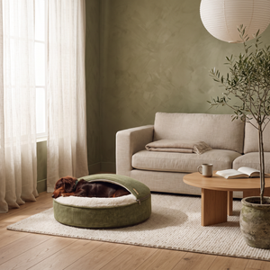 ZNOOZ Macaron Bed for Small Dogs
