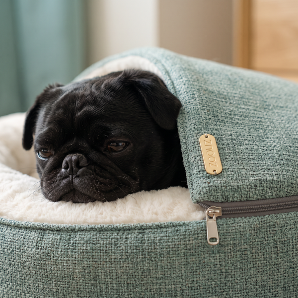 ZNOOZ Macaron Bed for Small Dogs