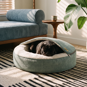 ZNOOZ Macaron Bed for Small Dogs