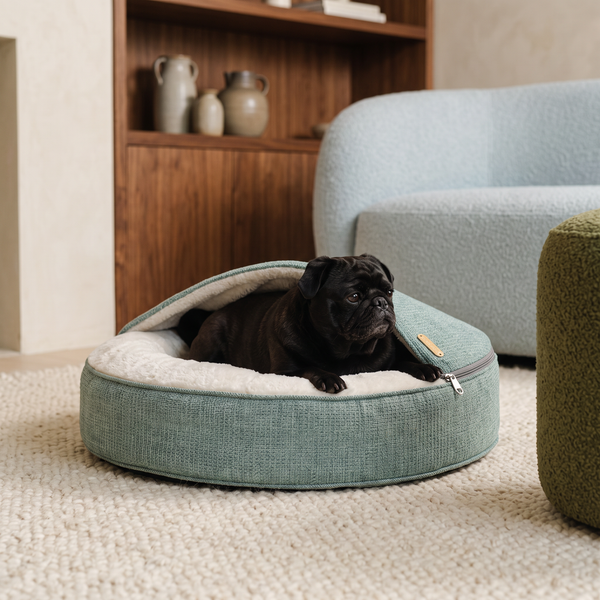 ZNOOZ Macaron Bed for Small Dogs