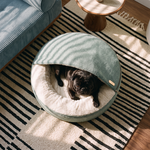ZNOOZ Macaron Bed for Small Dogs