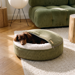 ZNOOZ Macaron Bed for Small Dogs