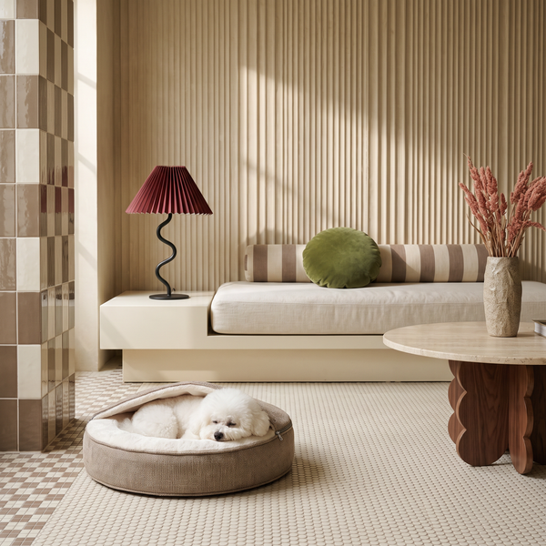 ZNOOZ Macaron Bed for Small Dogs