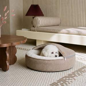 ZNOOZ Macaron Bed for Small Dogs