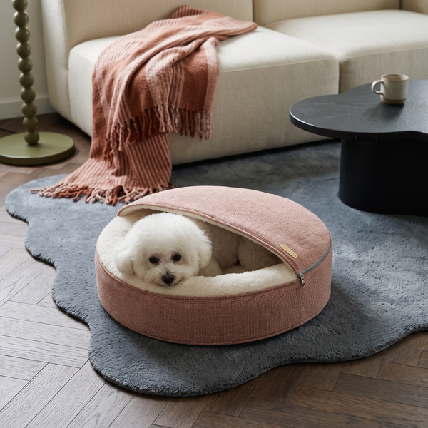 ZNOOZ Macaron Bed for Small Dogs
